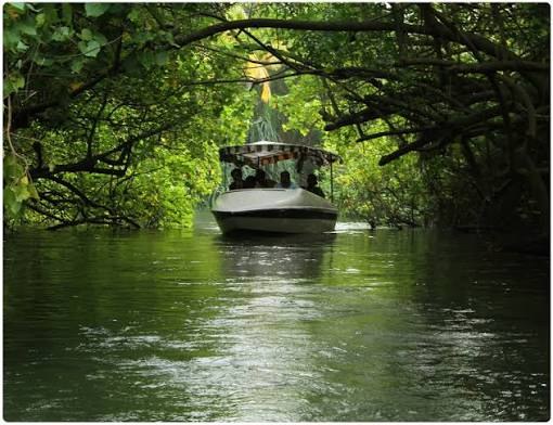 Kerala 7 Days