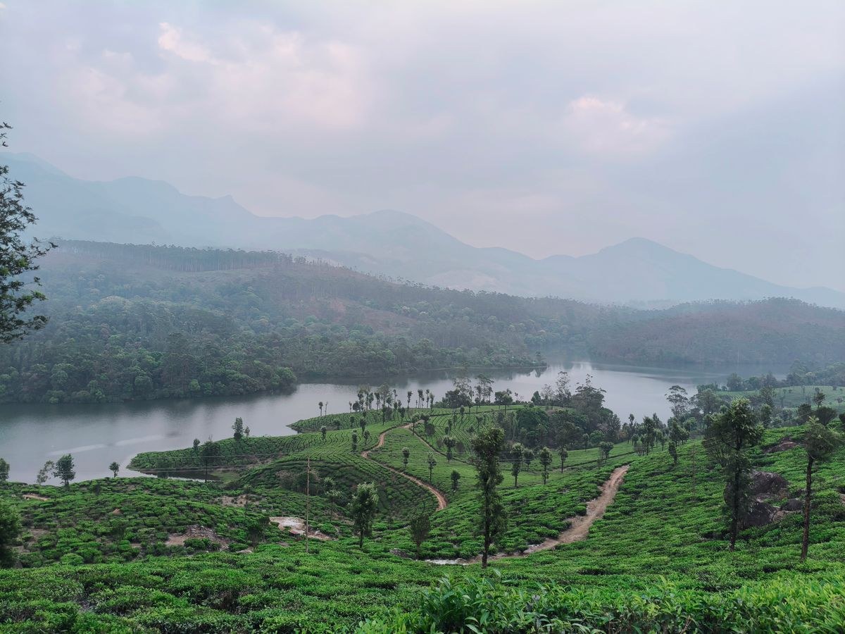 Kerala 4 Days (Munnar, Thekkady)